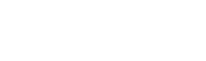 Peter Wilson Musician logo