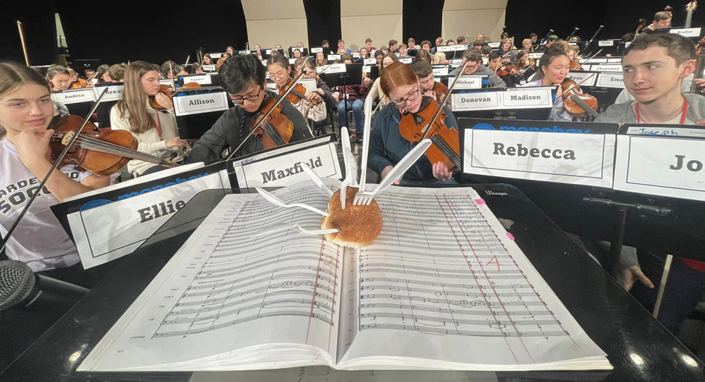 image from the PMEA District 7 Orchestra